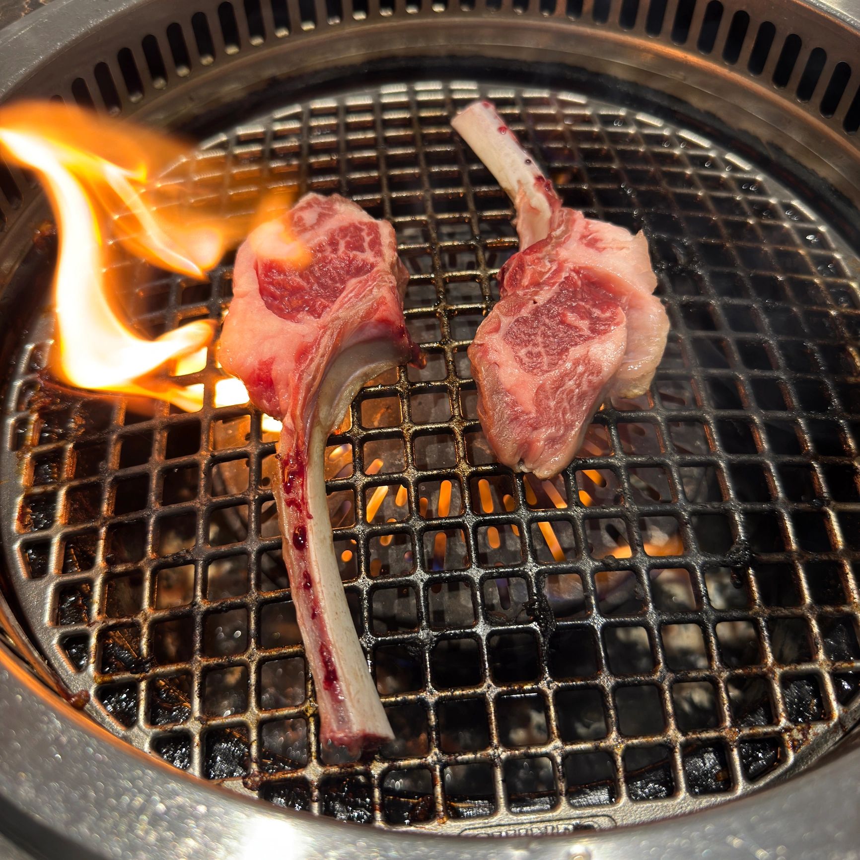 Grilled ribs style meat close up